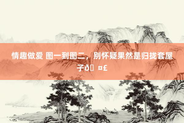 情趣做爱 图一到图二，别怀疑果然是归拢套屋子🤣