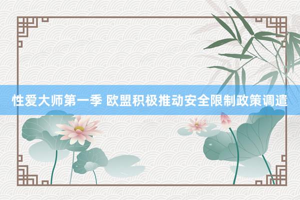性爱大师第一季 欧盟积极推动安全限制政策调遣