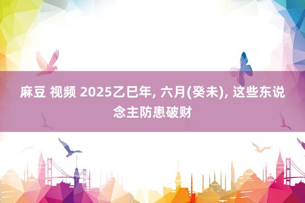 麻豆 视频 2025乙巳年， 六月(癸未)， 这些东说念主防患破财